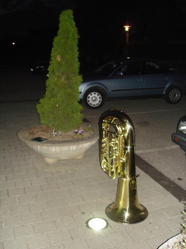 56